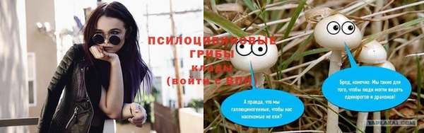 мдпв Семёнов