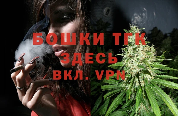 тгк Снежинск
