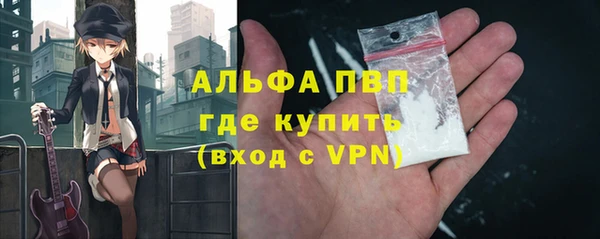 индика Снежногорск