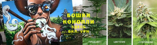 мдпв Семёнов