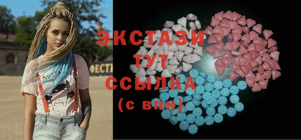 индика Снежногорск