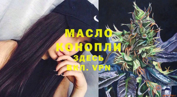 тгк Снежинск